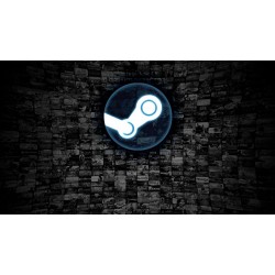 $20 USA Steam - Digital Code