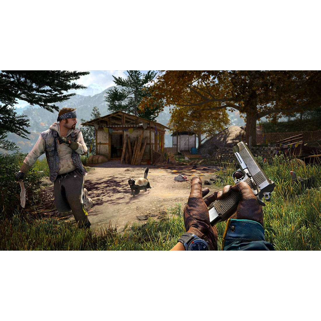 Far cry 4 ps4. Far Cry 5 Xbox 360. Far Cry ps4. Игра far Cry 5 для Xbox one. Игра far Cry 4 (Xbox 360).