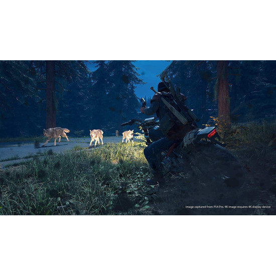 Days Gone - Special Edition - PlayStation 4