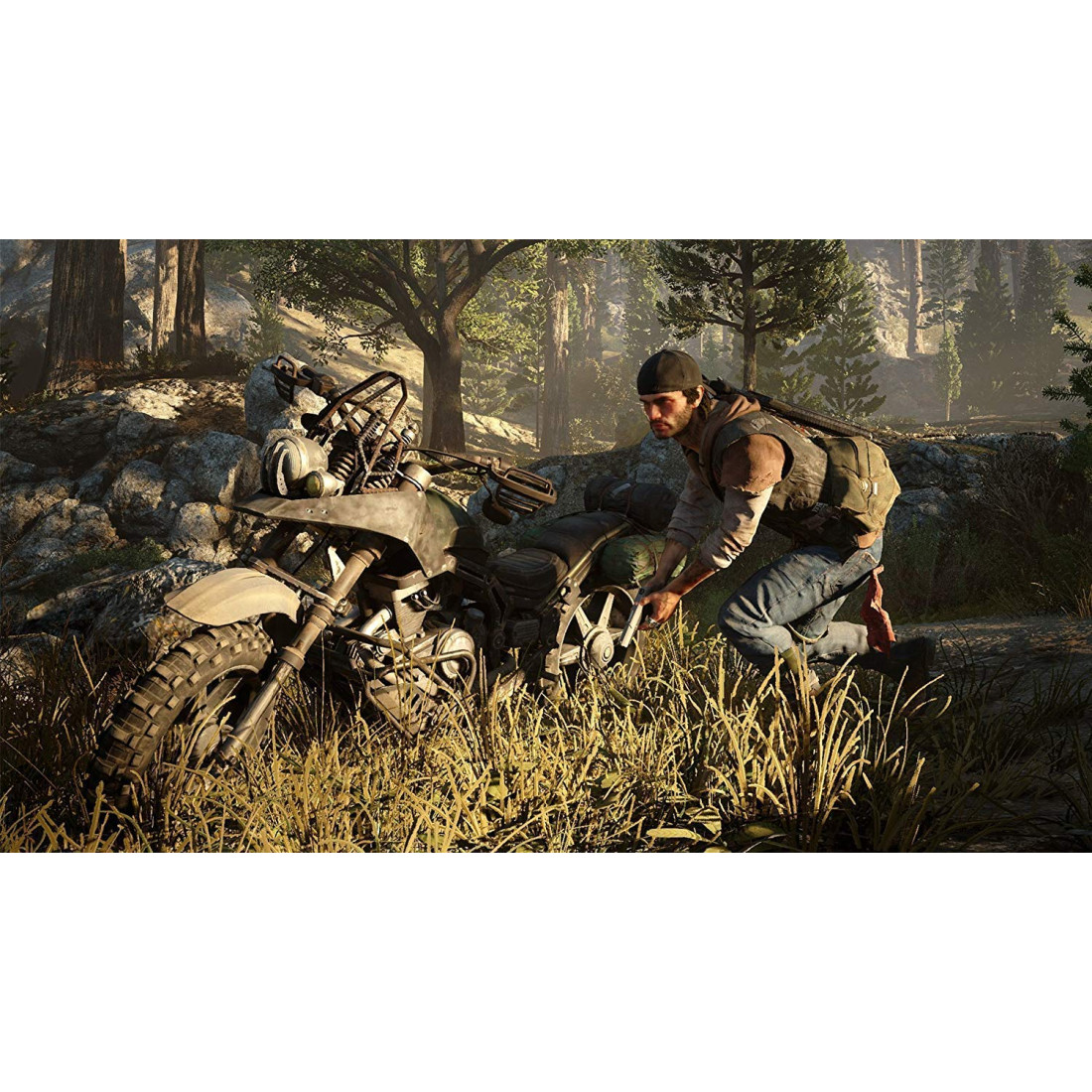 Игра жизнь после на ps4. Игра Days gone ps4. Days gone (жизнь после) (ps4). Days gone ps4 диск. Days gone на ПС 4.