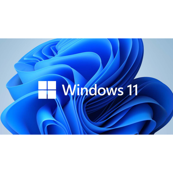 Windows 11 Professional + MS Office Professional Plus 2021 - Bundle