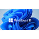 Microsoft Windows 11 Pro - Digital Code