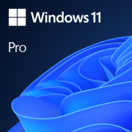 Microsoft Windows 11 Pro - Digital Code
